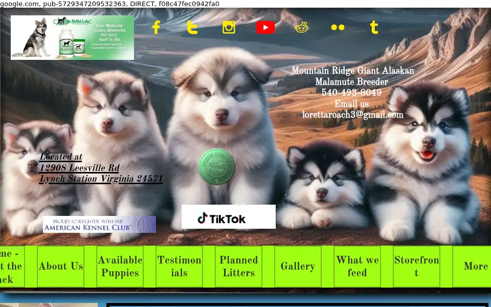 Screenshot of mtnridgemalamutes.com
