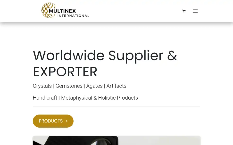 Screenshot of multinexinternational.com