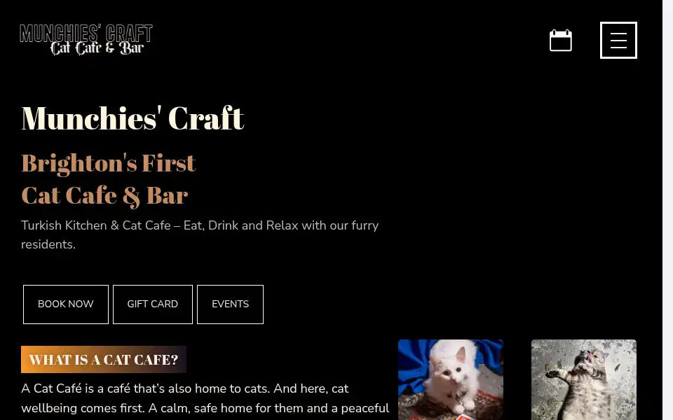 Screenshot of munchiescraft.co.uk