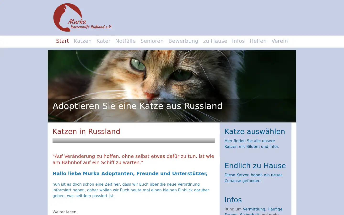 Screenshot of murka-katzenhilfe-russland.de