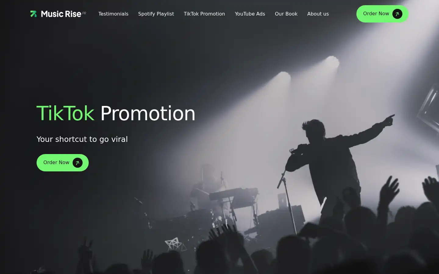 Screenshot of musicrisepr.com