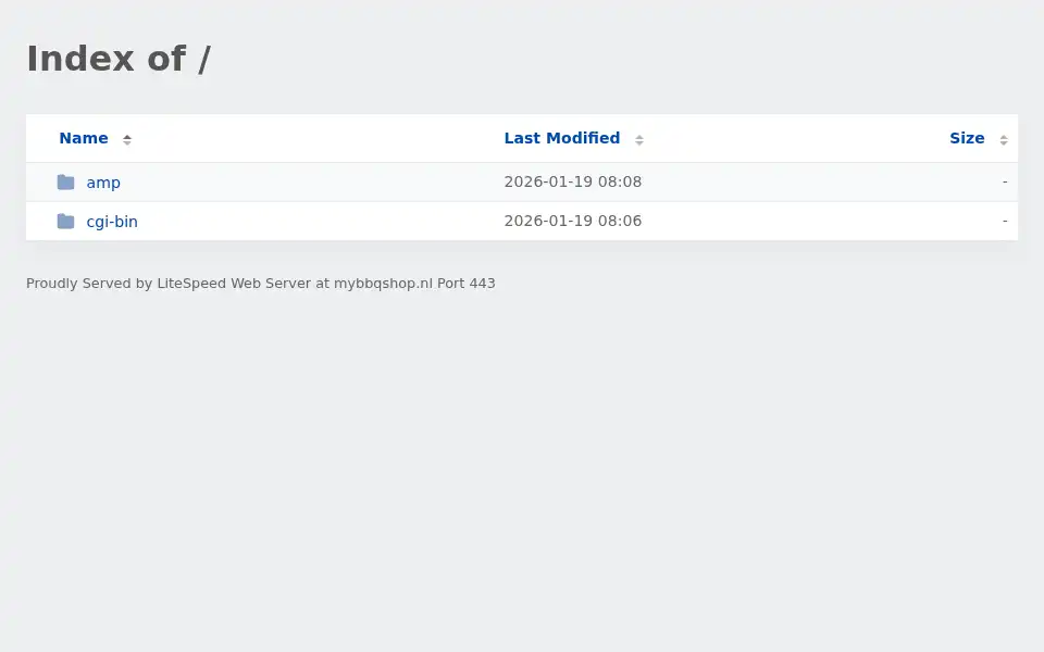 Screenshot of mybbqshop.nl