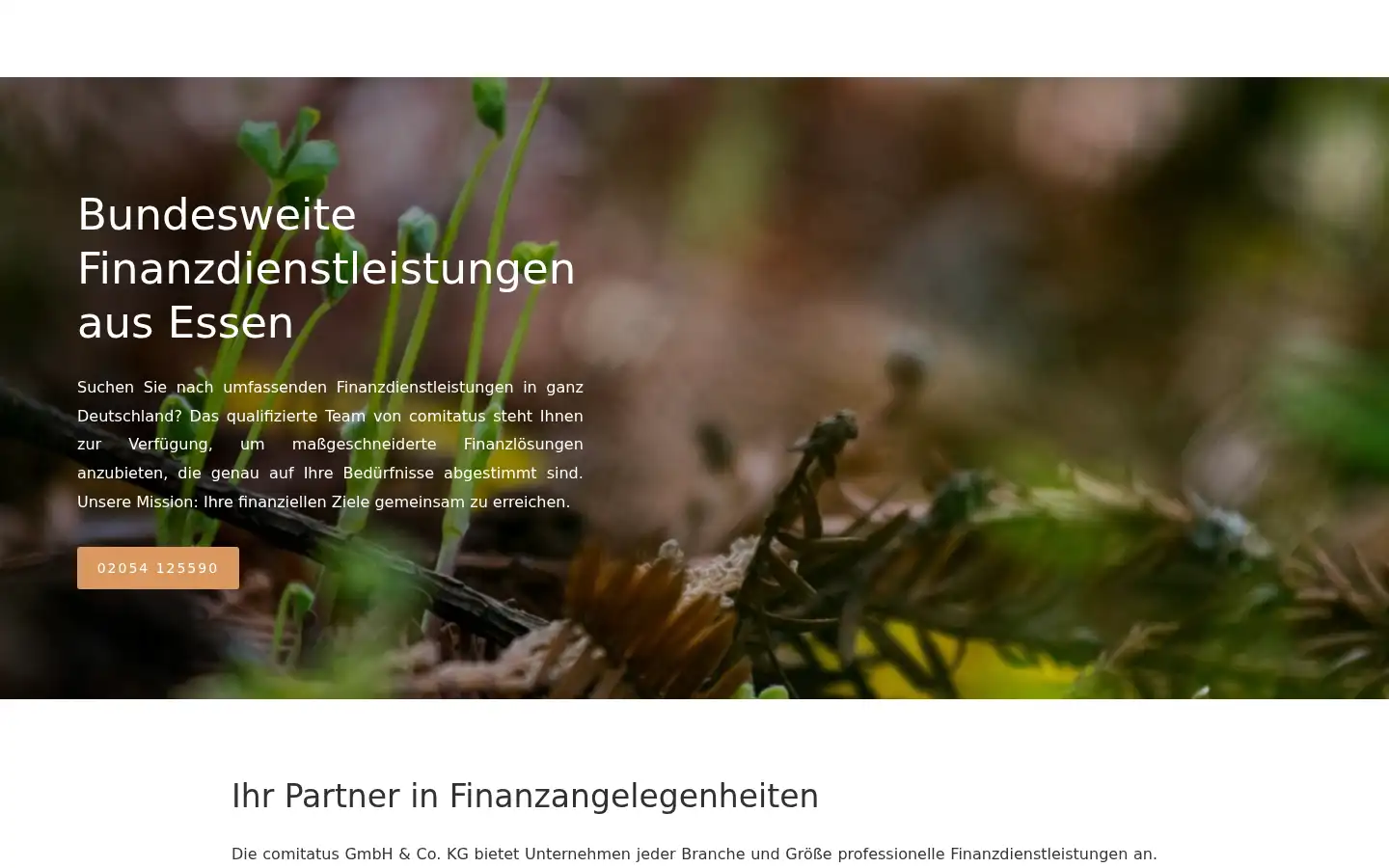 Screenshot of mycomitatus.de