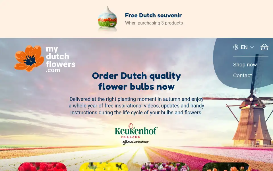 Screenshot of mydutchflowers.com