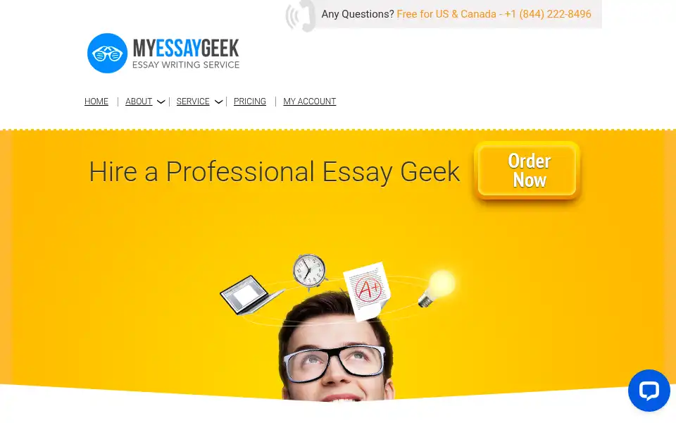 Screenshot of myessaygeek.com