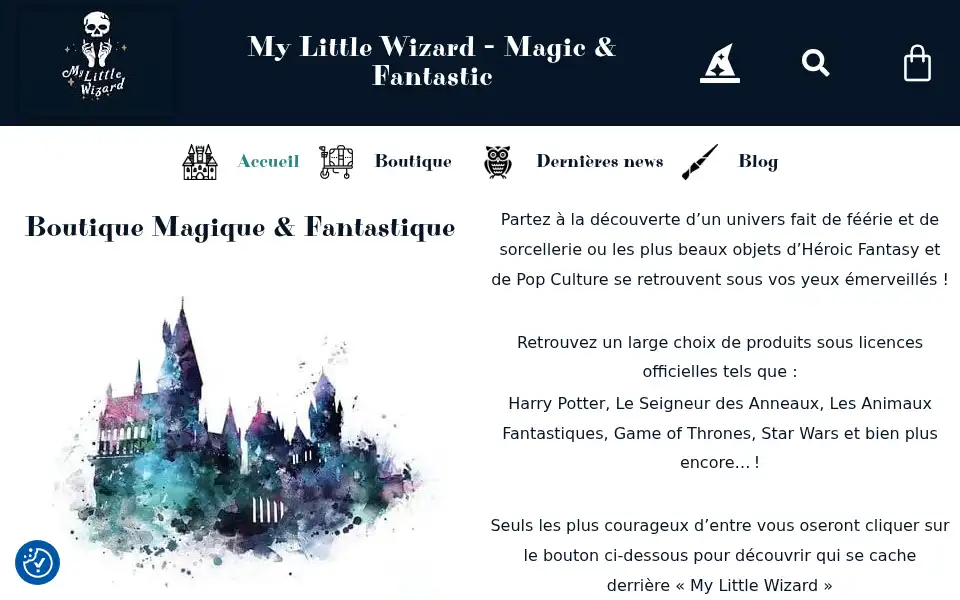 Screenshot of mylittlewizard.fr