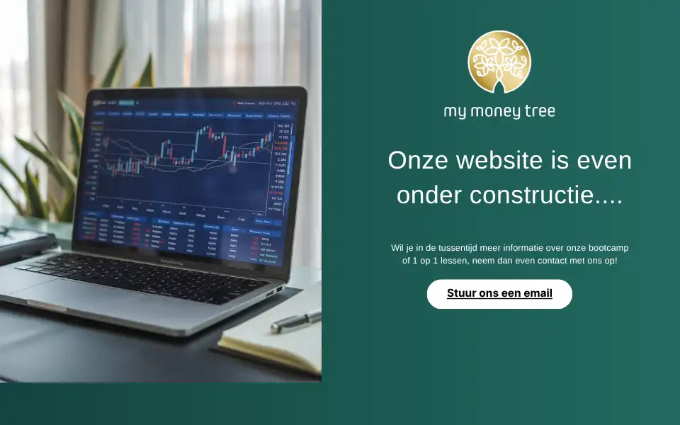 Screenshot of mymoneytree.nl