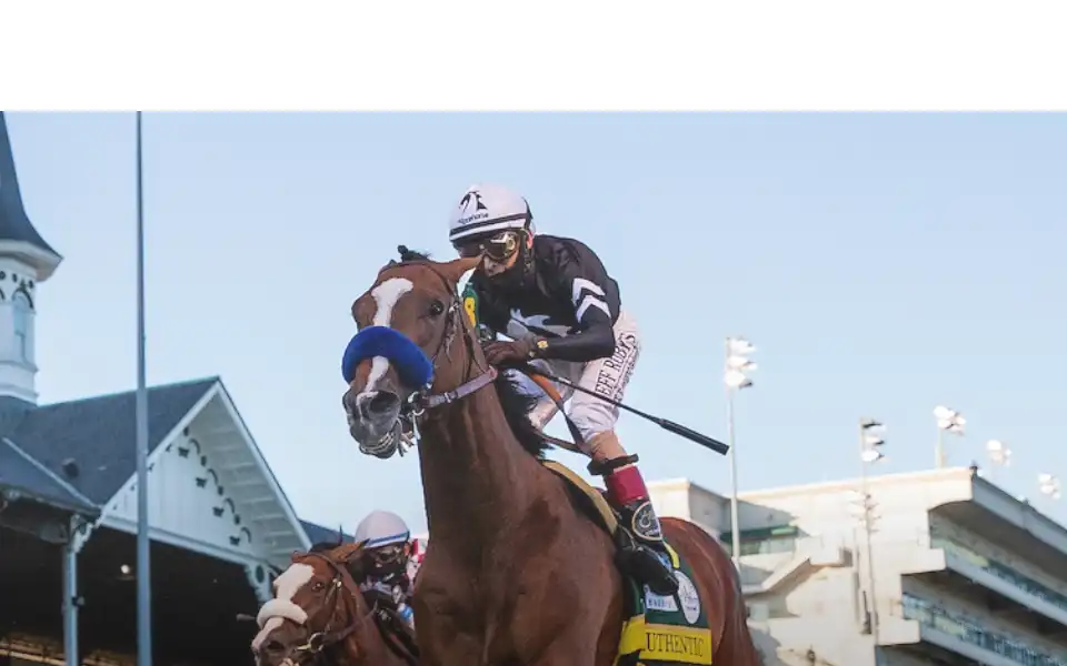 Screenshot of myracehorse.com