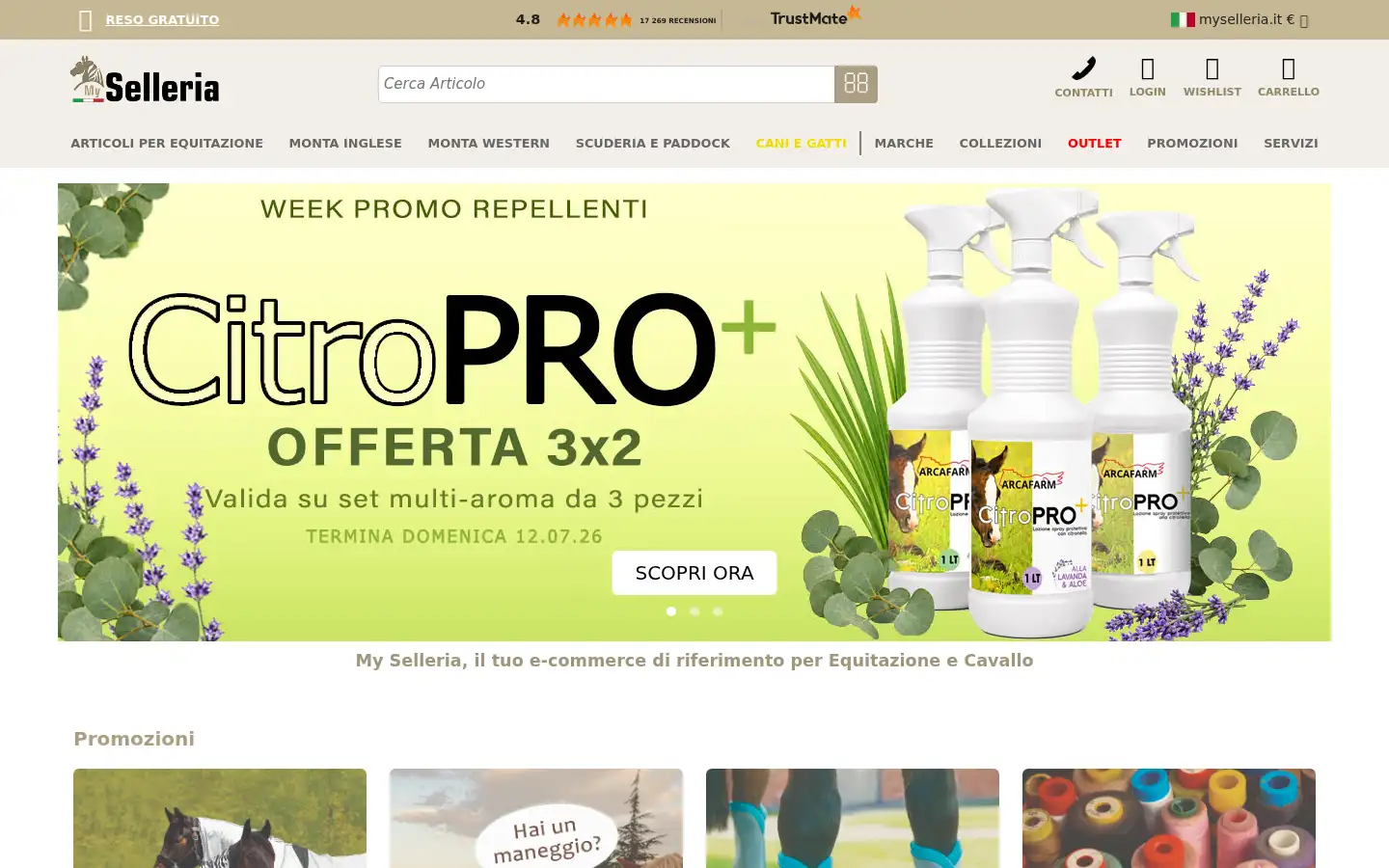 Screenshot of myselleria.it