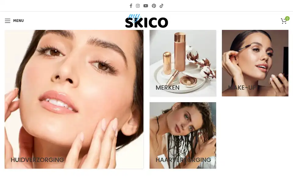 Screenshot of myskico.com