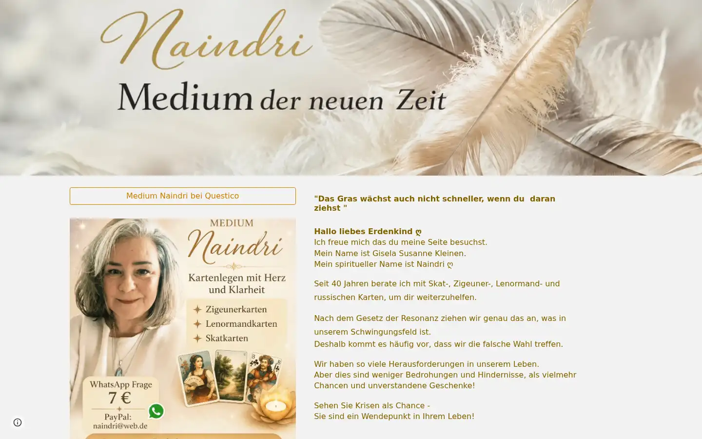 Screenshot of naindri.de