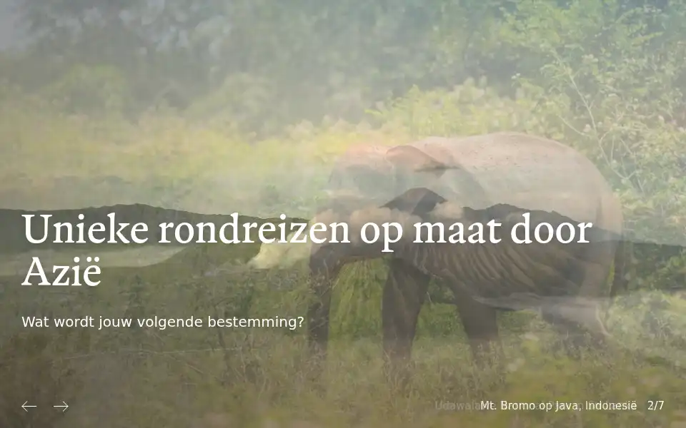 Screenshot of namaste-reizen.nl