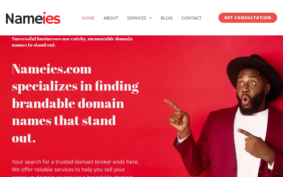 Screenshot of nameies.com