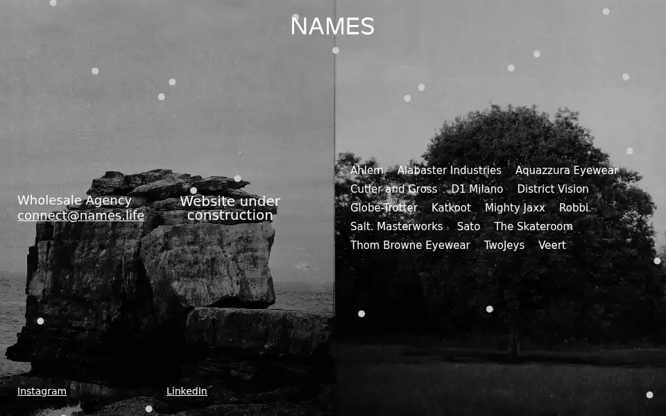 Screenshot of names.life