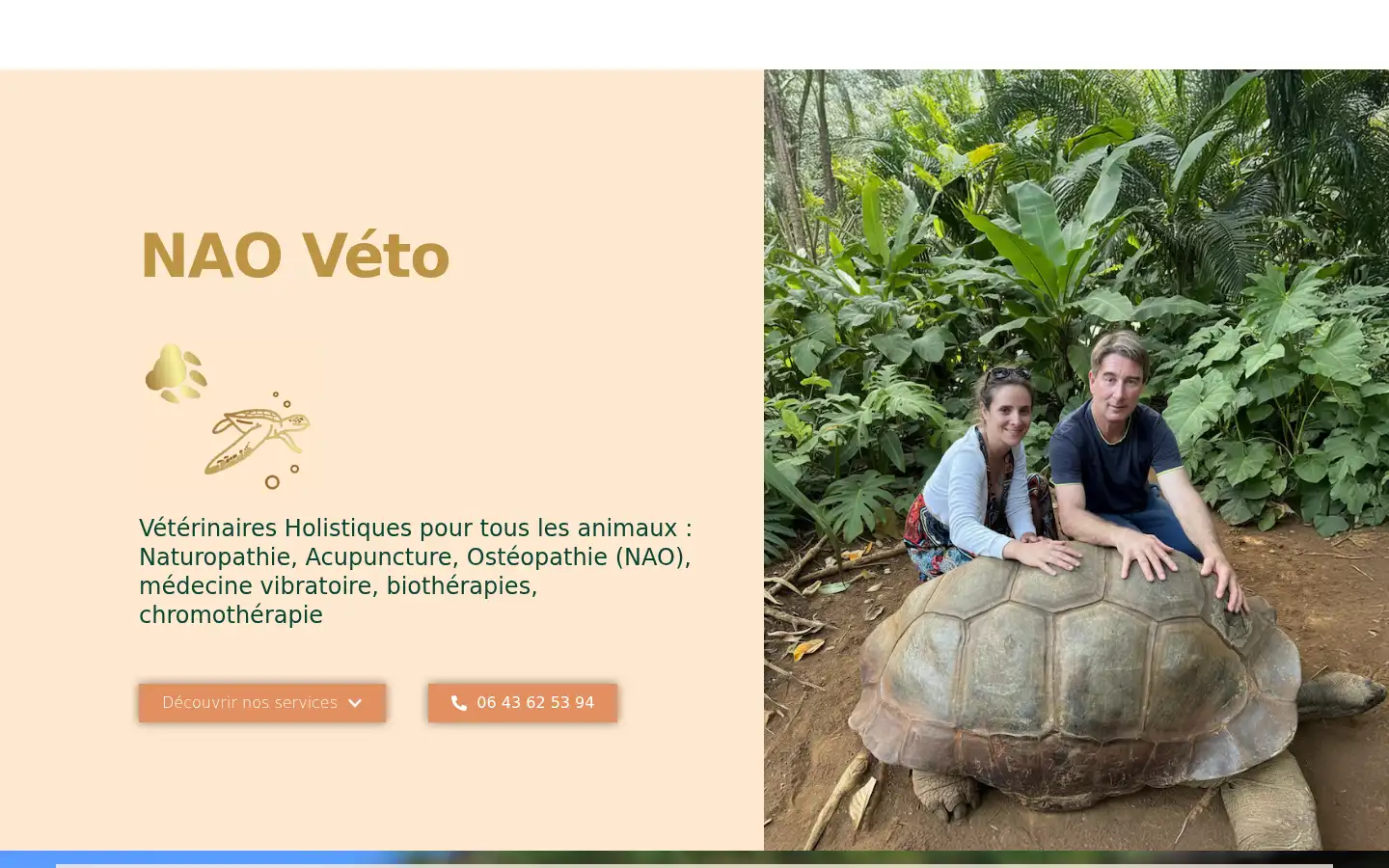 Screenshot of nao-veto.fr