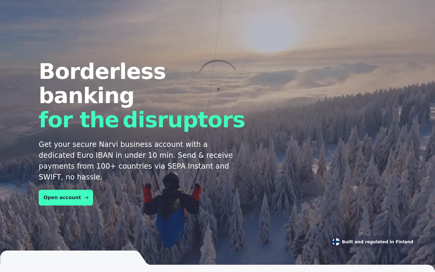 Screenshot of narvi.com