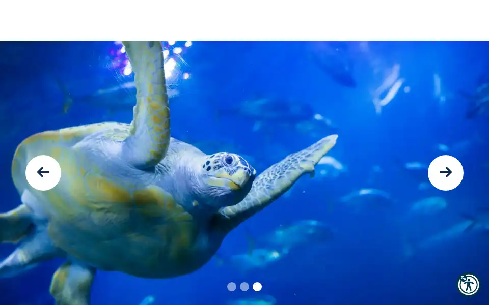Screenshot of national-aquarium.co.uk