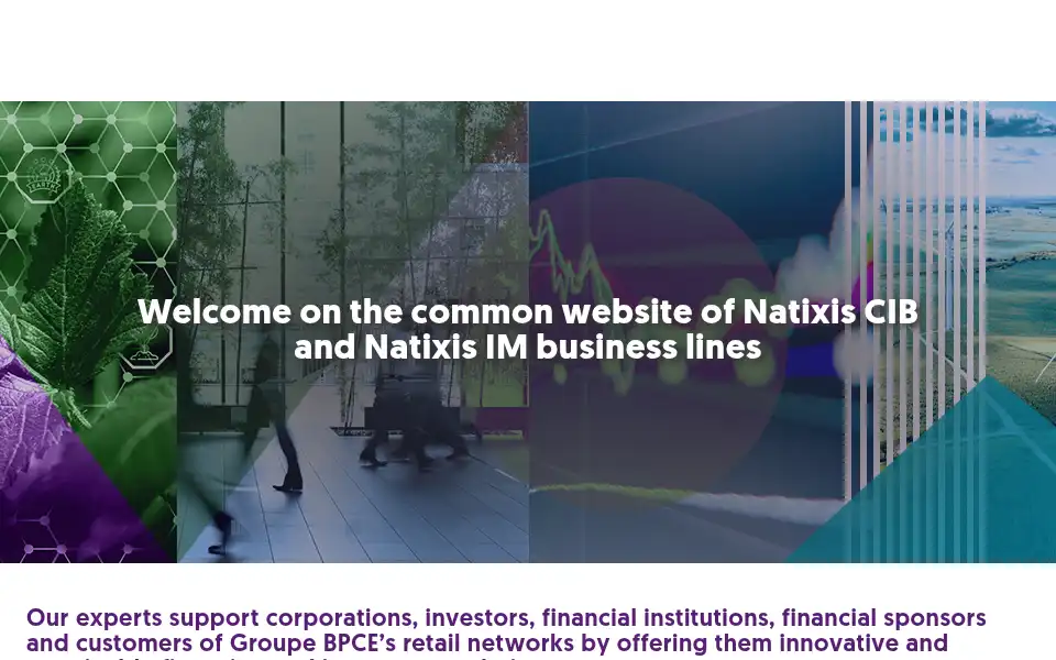 Screenshot of natixis.com