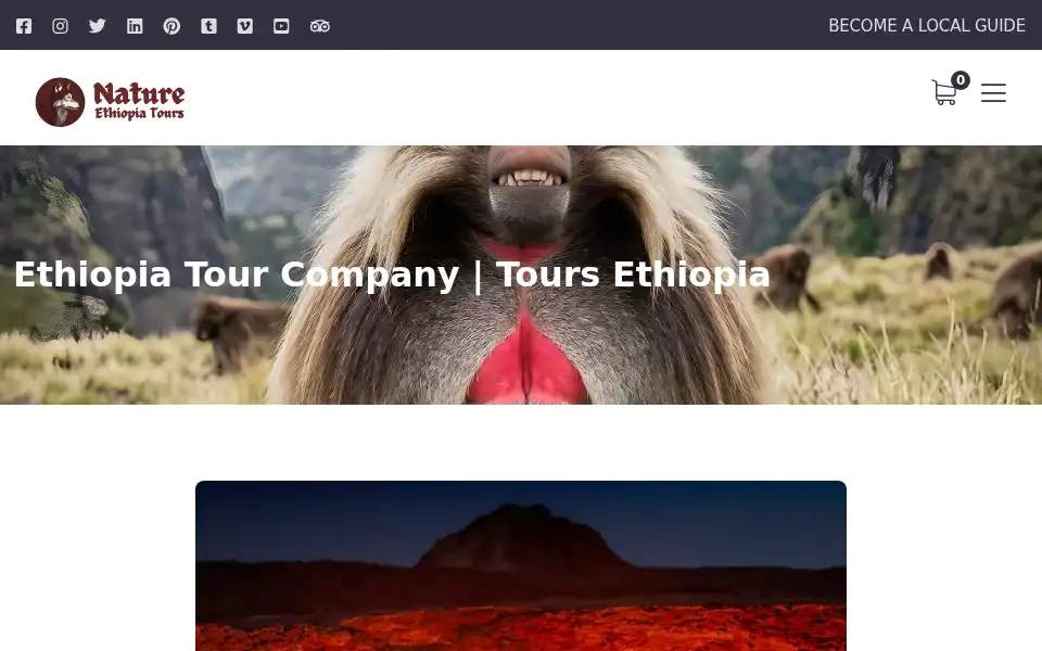 Screenshot of natureethiopiatours.pro.et
