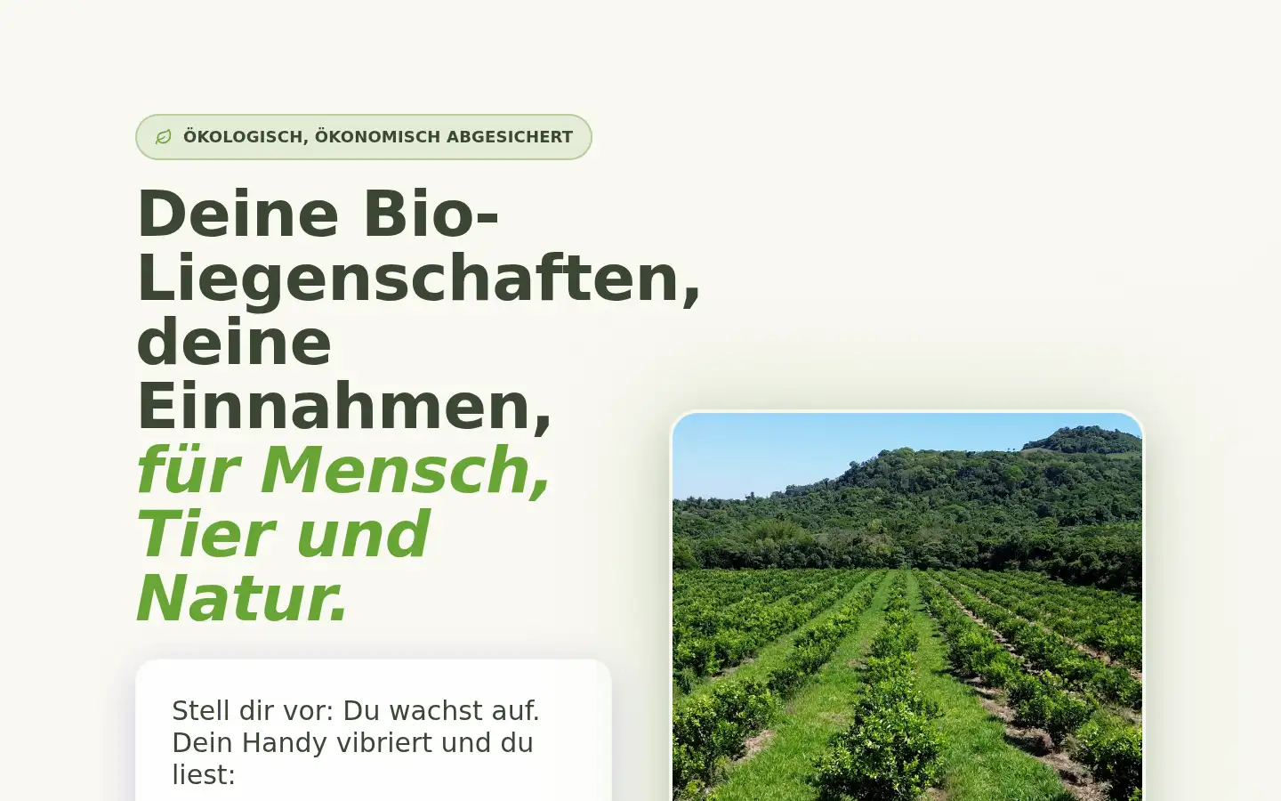 Screenshot of natureinvest.com.py