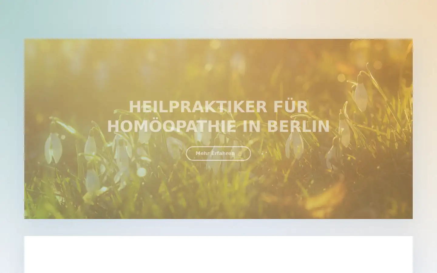 Screenshot of naturheilpraxis-homoeopathie-berlin.de