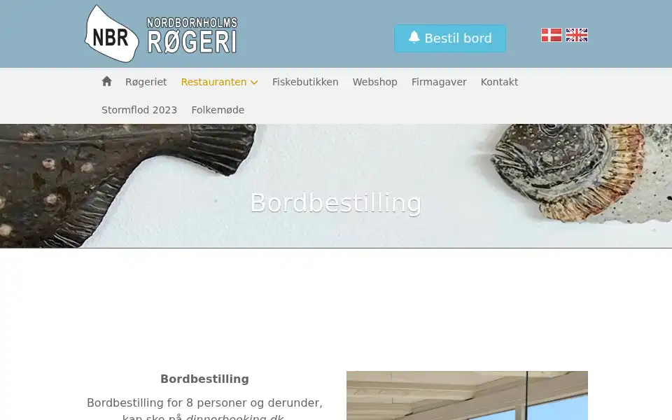 Screenshot of nbr.dk