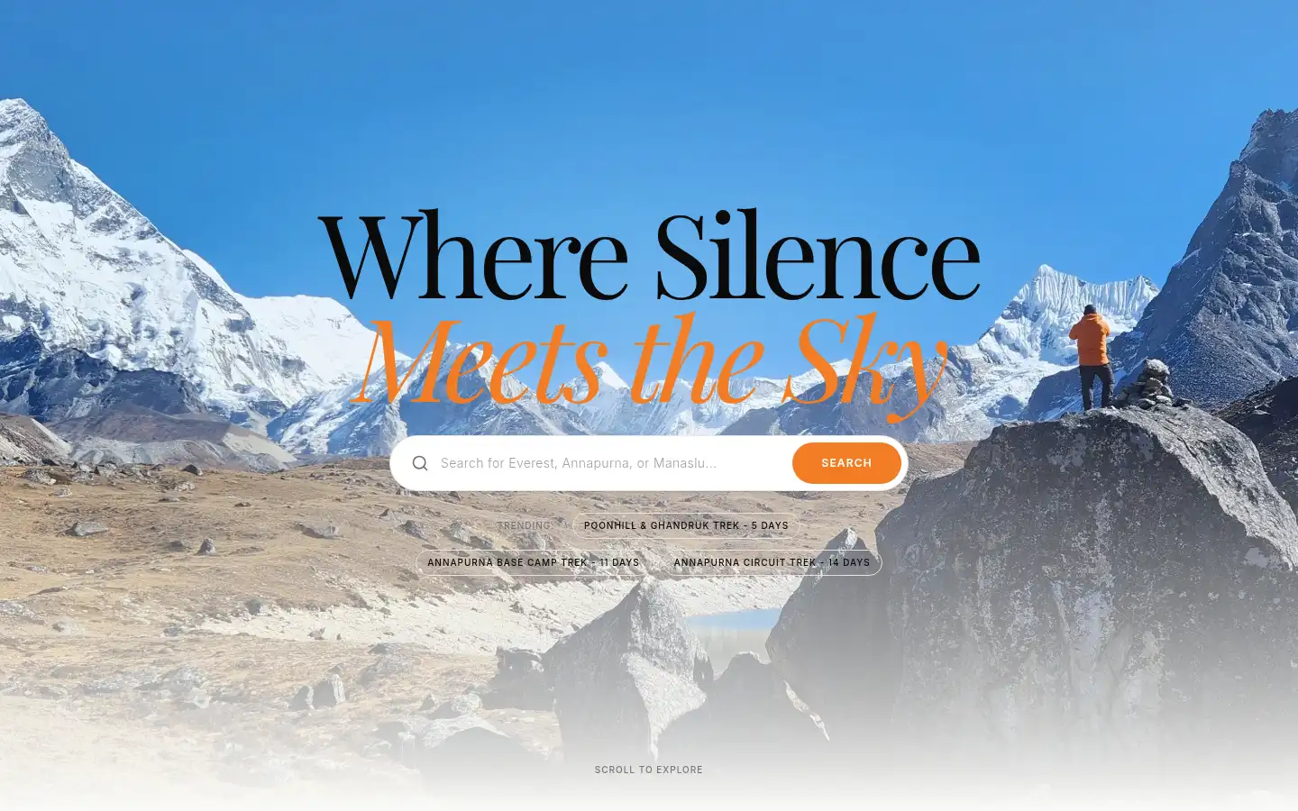 Screenshot of nepalvisuals.com