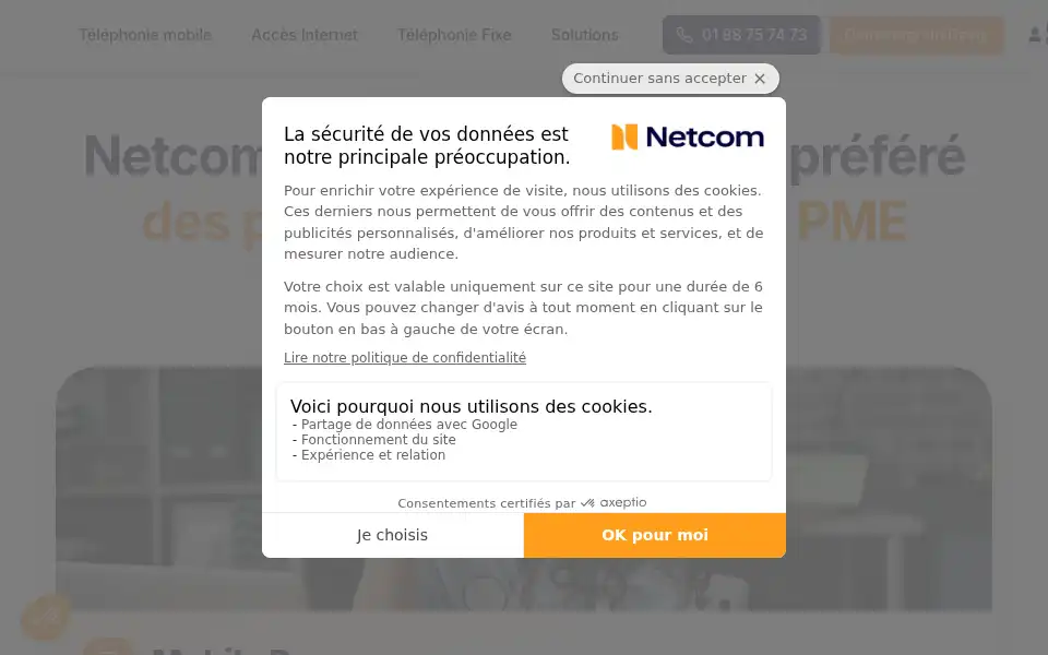 Screenshot of netcom-group.fr