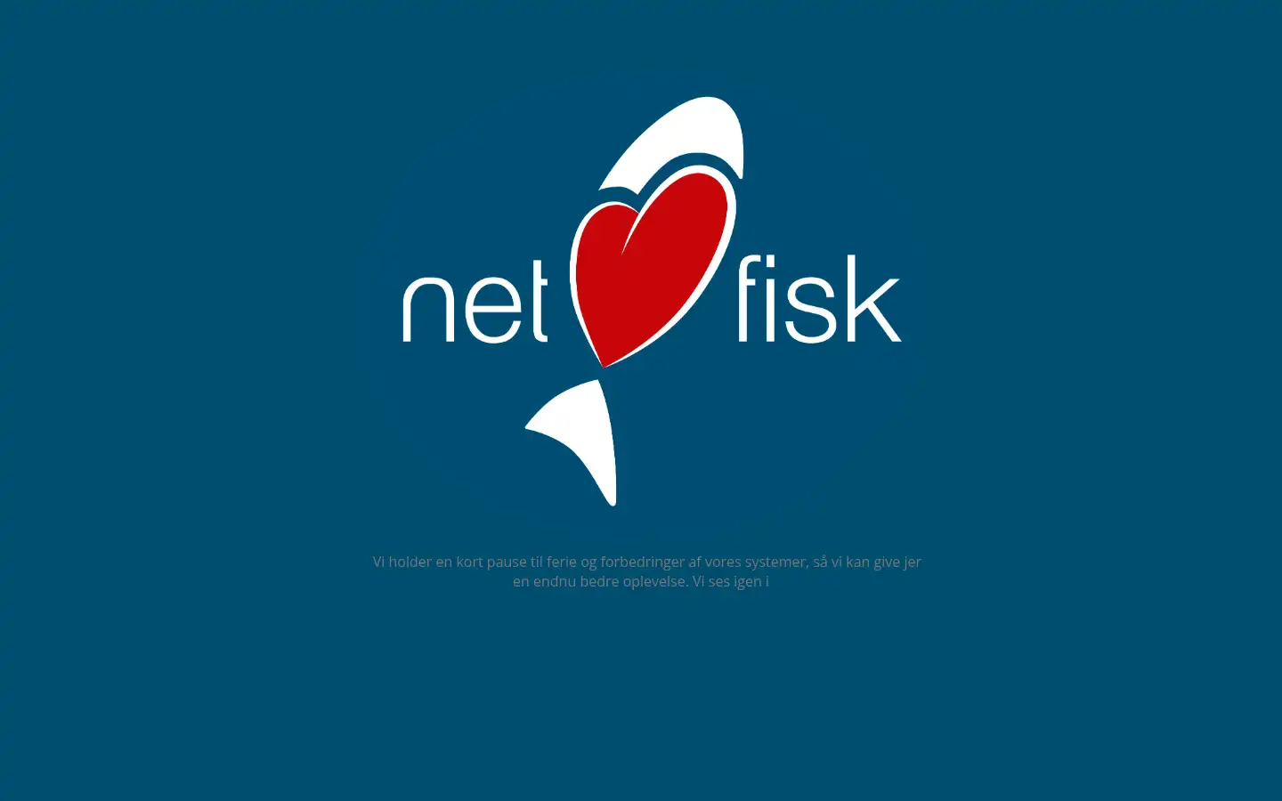 Screenshot of netfisk.dk