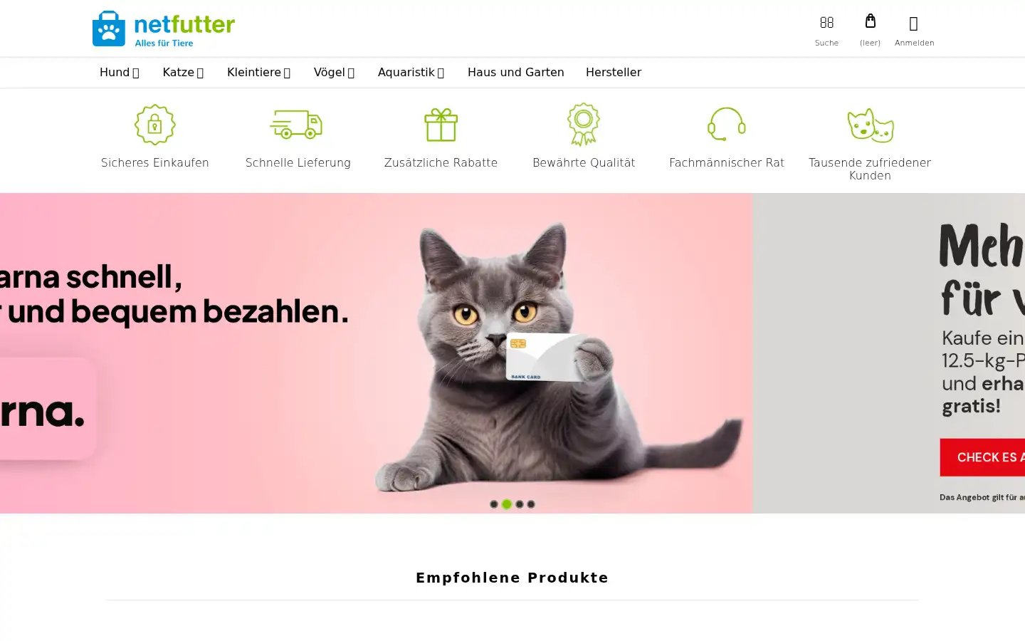 Screenshot of netfutter.de