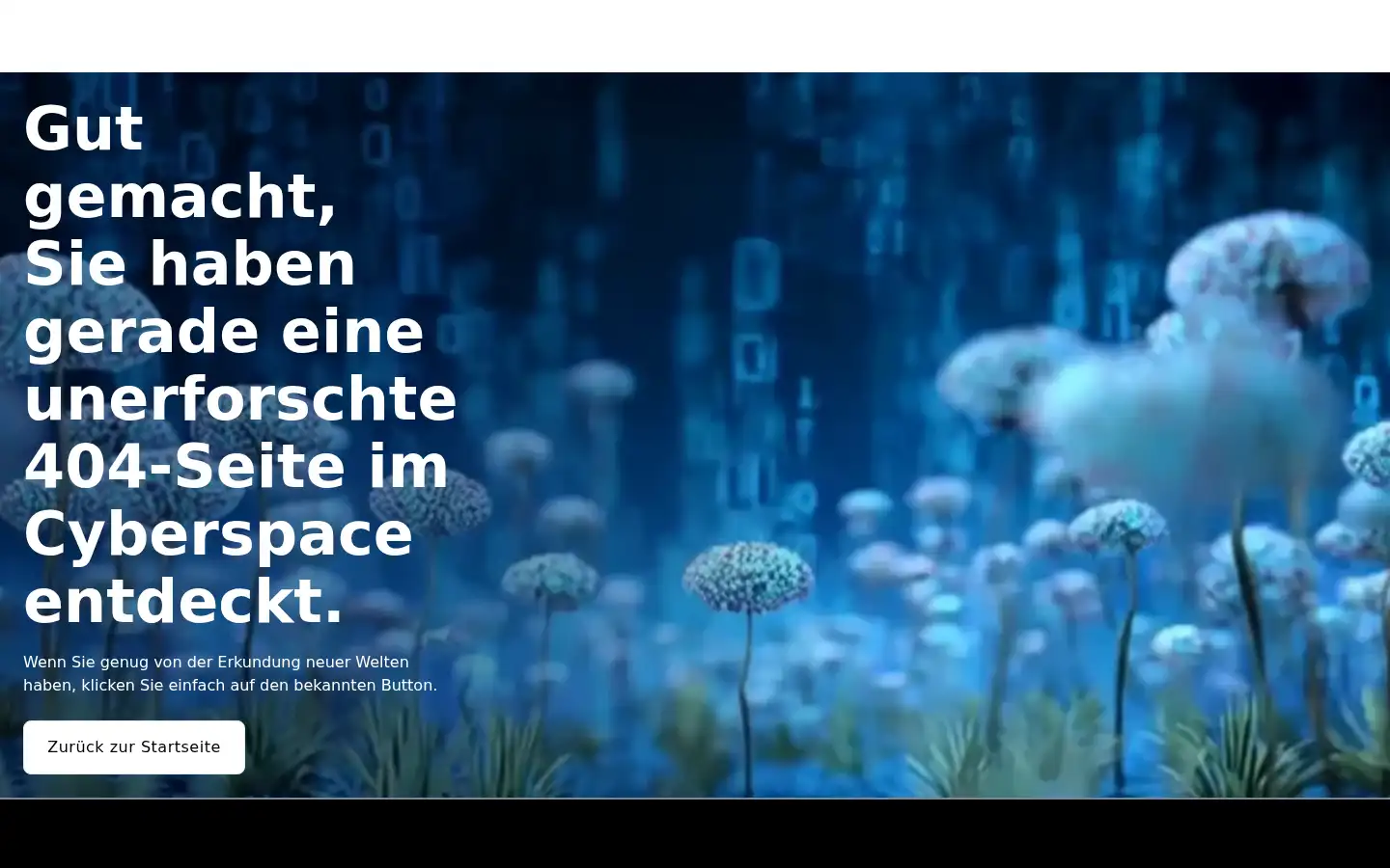 Screenshot of netgear.ch