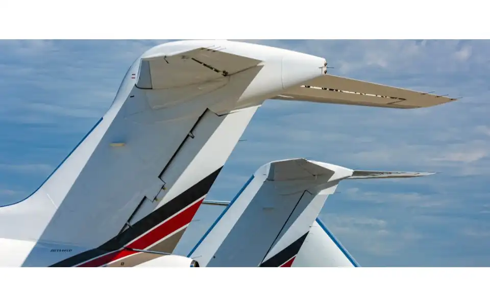 Screenshot of netjets.com