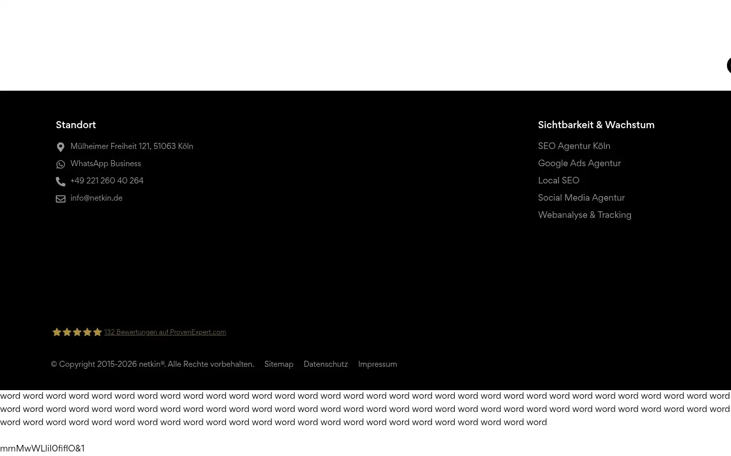 Screenshot of netkin.de