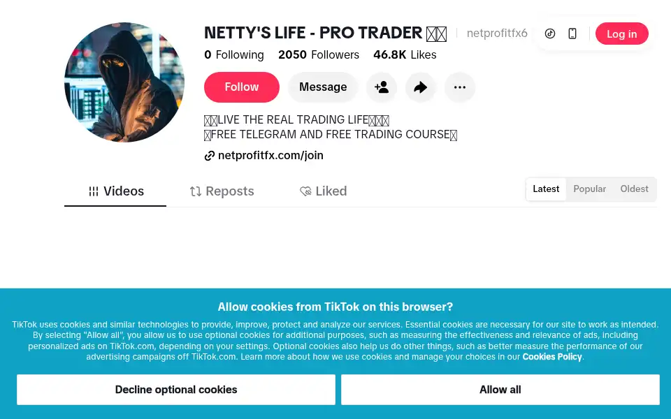 Screenshot of netprofitfx.com