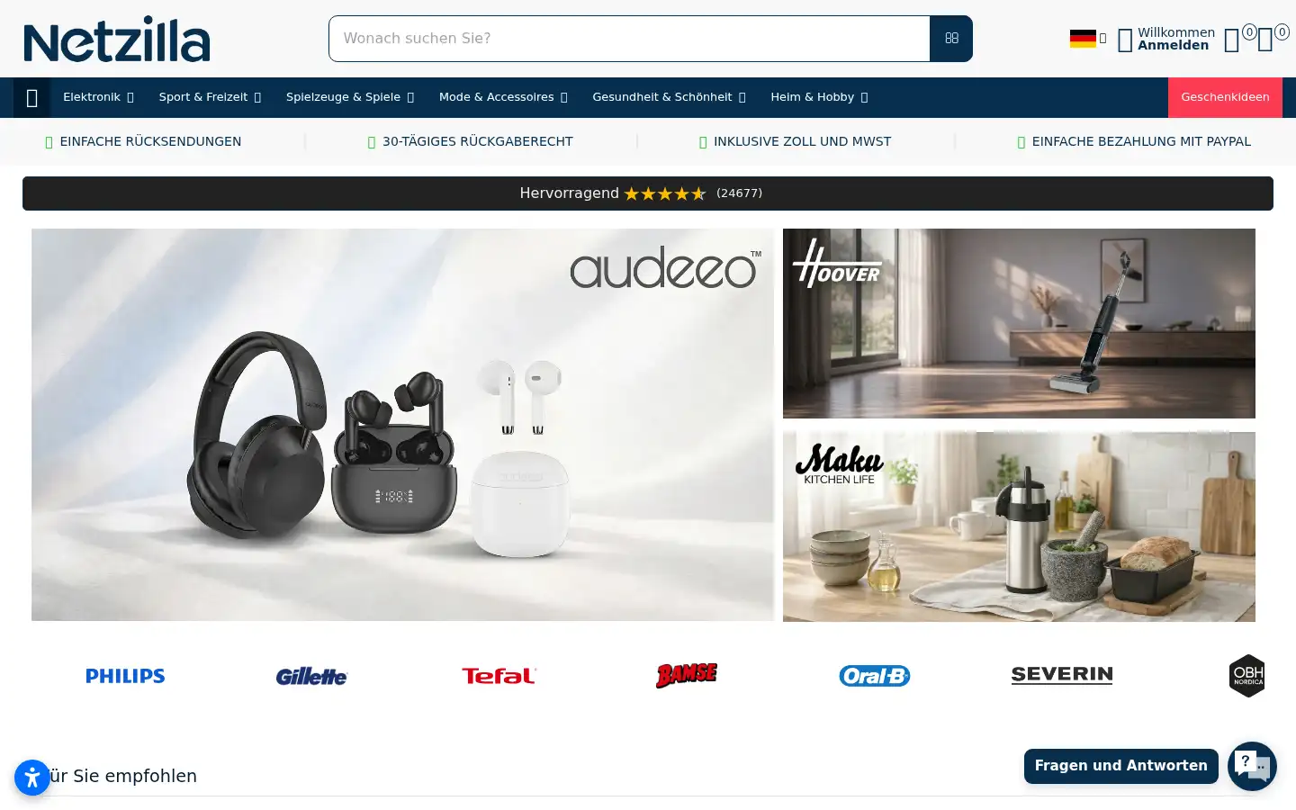 Screenshot of netzilla.ch