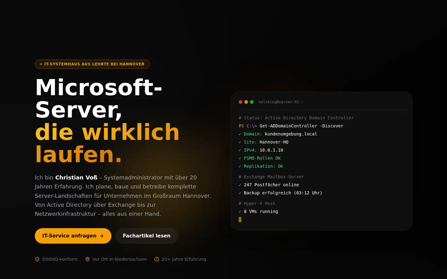 Screenshot of netzking.de