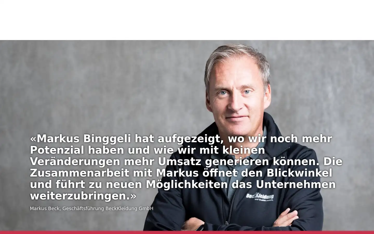 Screenshot of netzpuls.ch