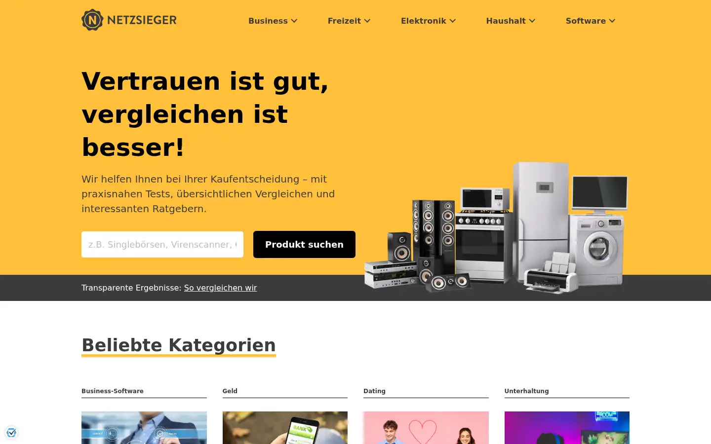 Screenshot of netzsieger.de