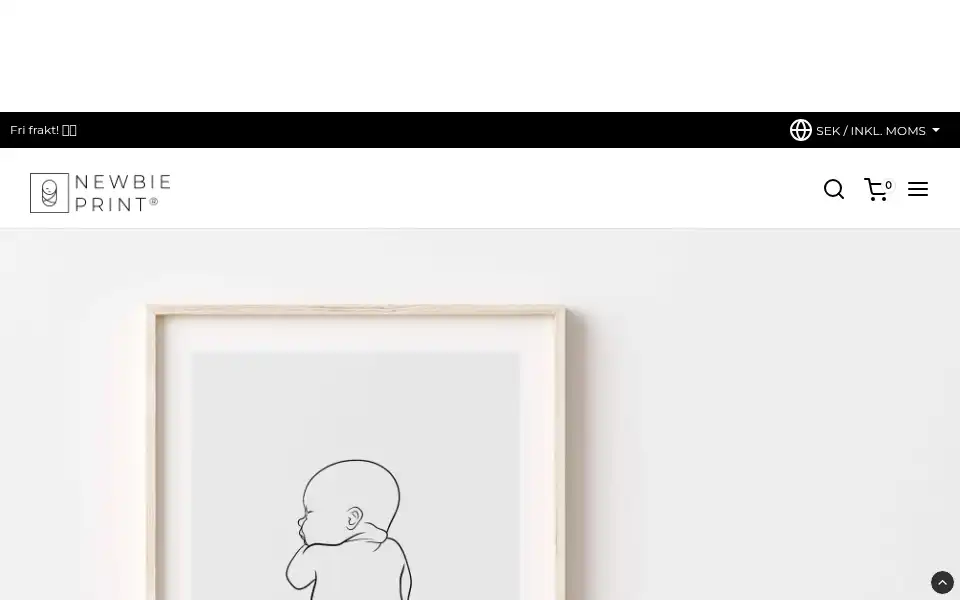 Screenshot of newbieprint.se