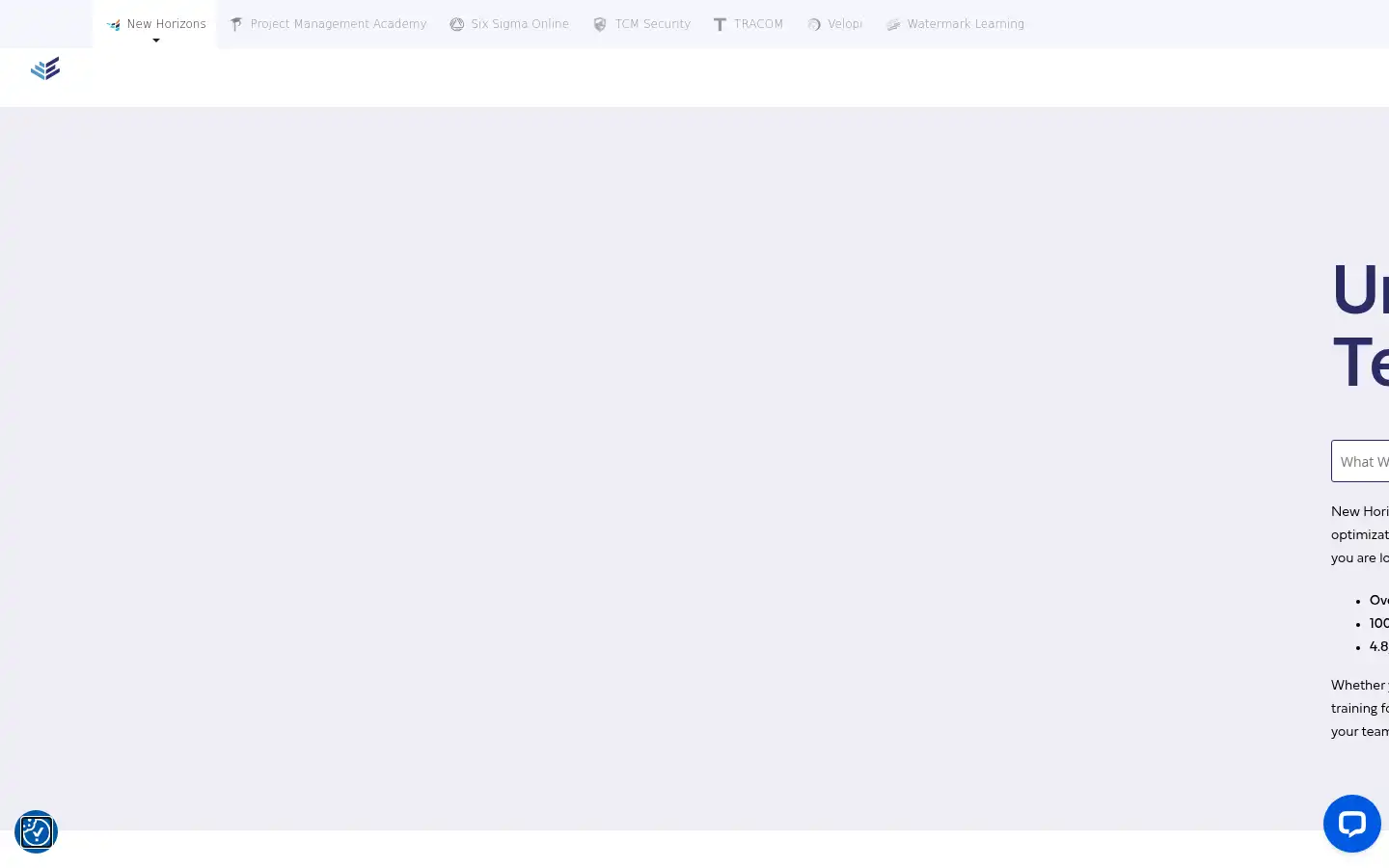 Screenshot of newhorizons.com