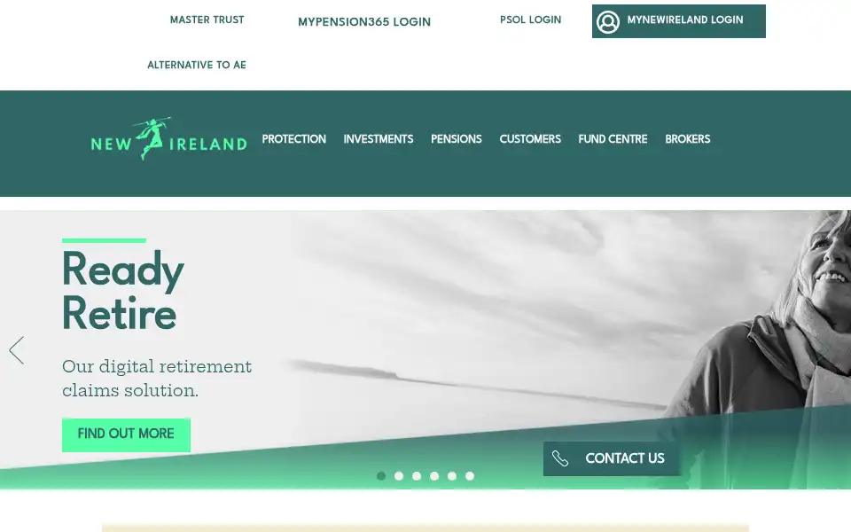 Screenshot of newireland.ie