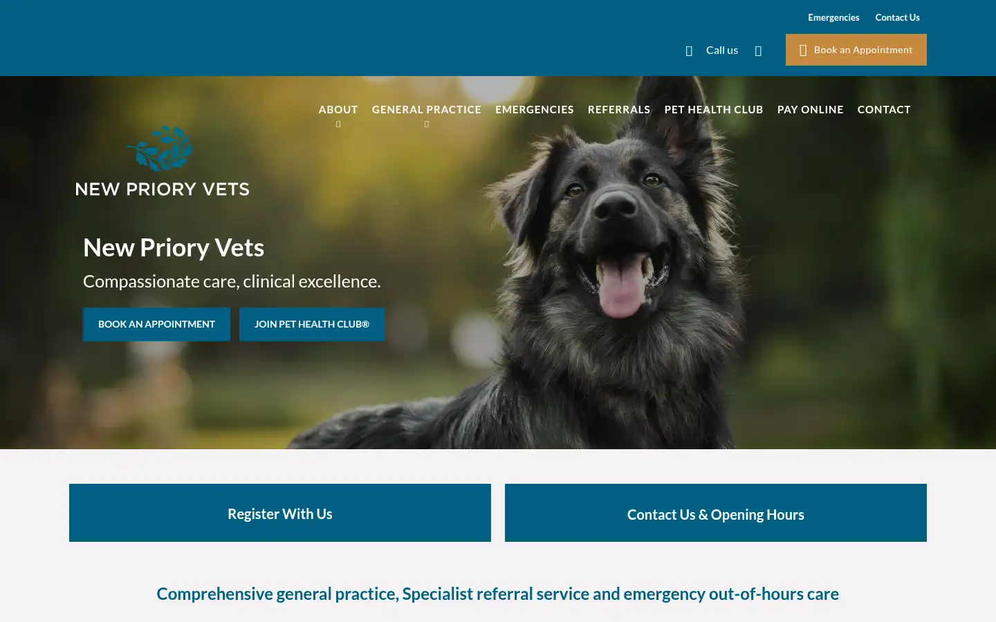 Screenshot of newprioryvets.com