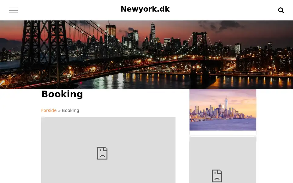Screenshot of newyork.dk