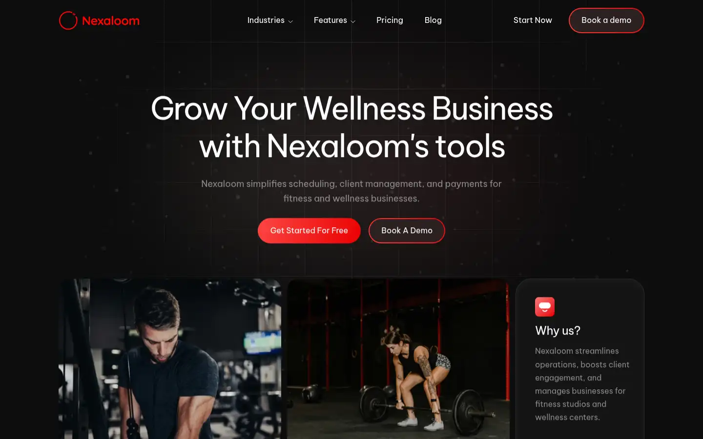 Screenshot of nexaloom.co