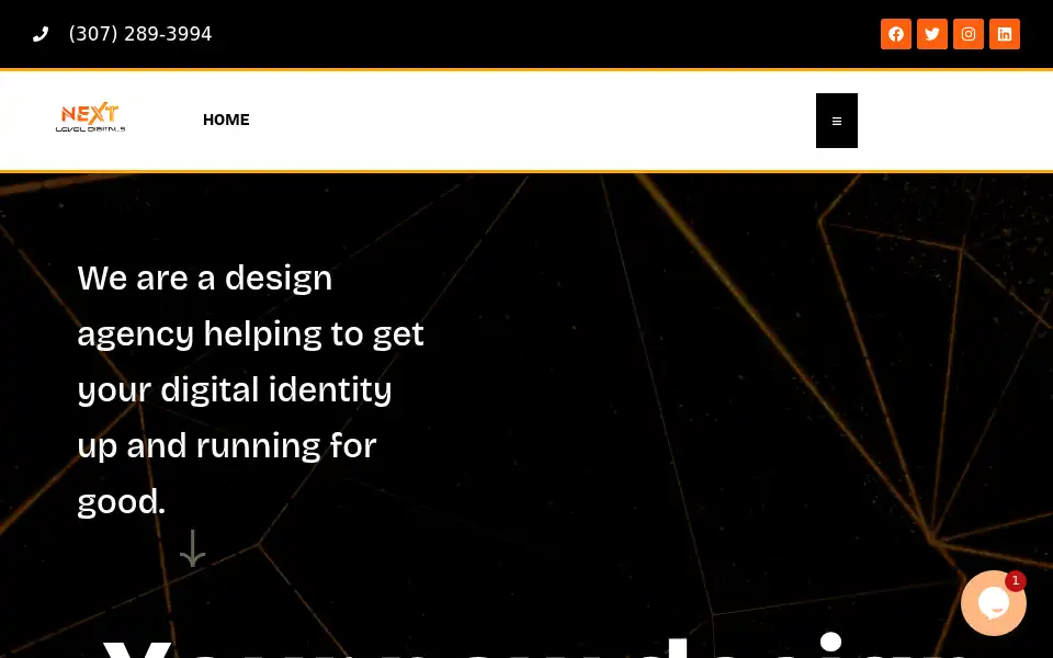 Screenshot of nextleveldigitals.com