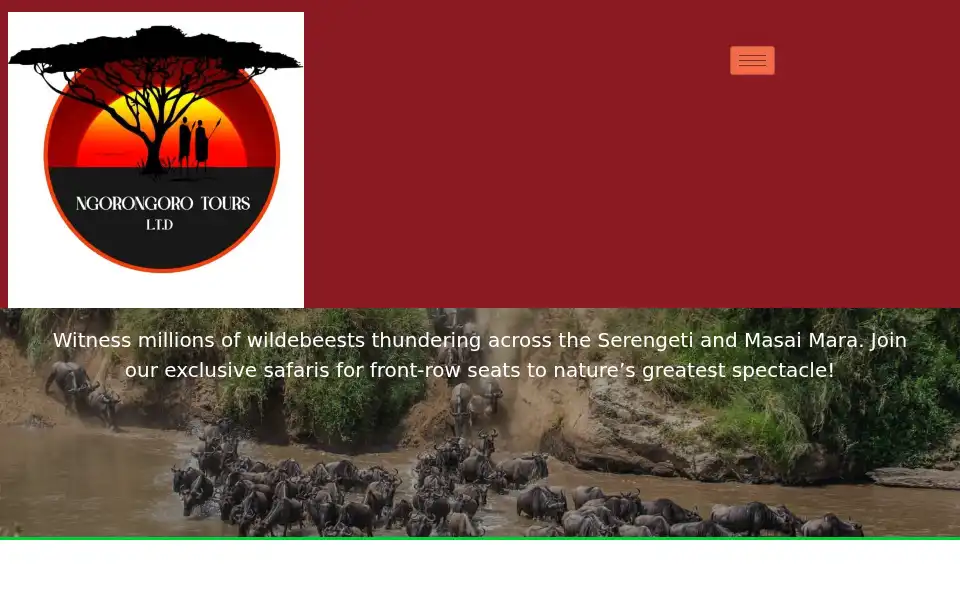 Screenshot of ngorongorotours.com