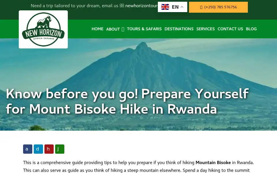 Screenshot of nhorizontours.com