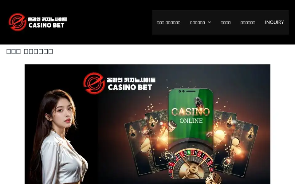Screenshot of nicheturnkeywebsites.com