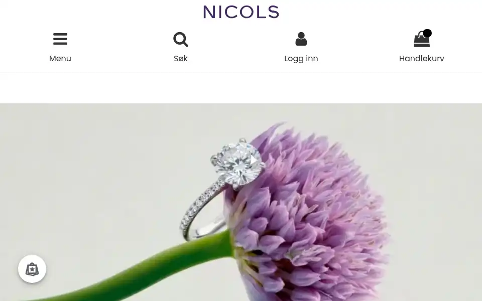 Screenshot of nicolsjewelry.com
