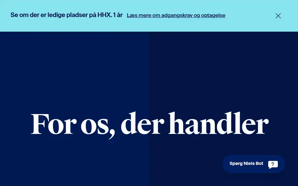 Screenshot of nielsbrock.dk